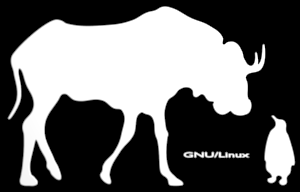 Primi passi con GNU/Linux